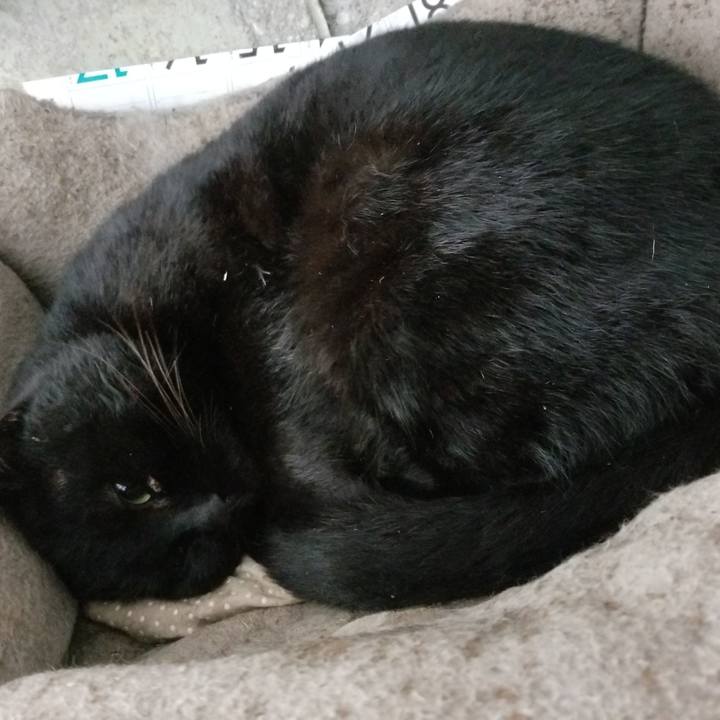 8194ff62 3450 4d19 a81a 15cdbcf5d032 1576504872912