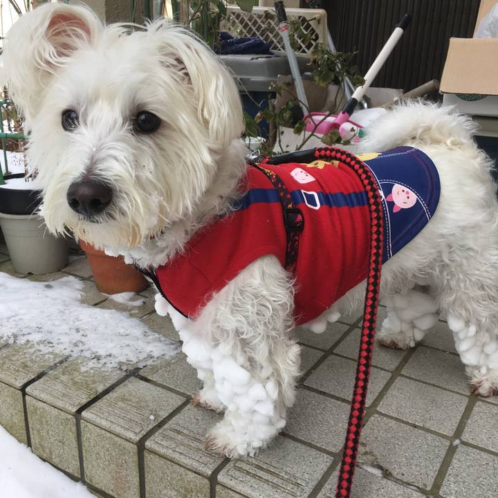 81950e58 4fd6 449a 946a bddc17e0a90b 1518547159535