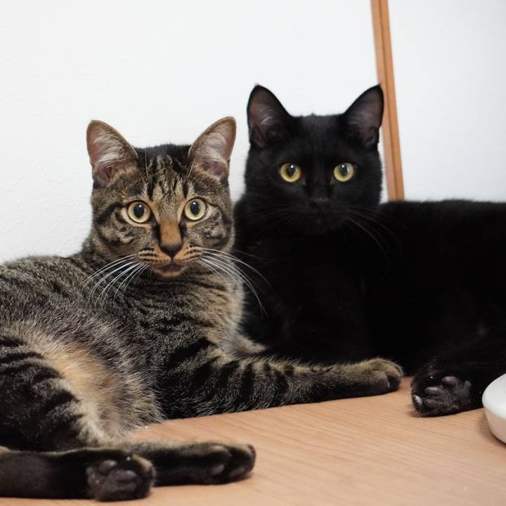 8195624e 8732 4c6c bf53 0dcebd50ea3c 1627823492488