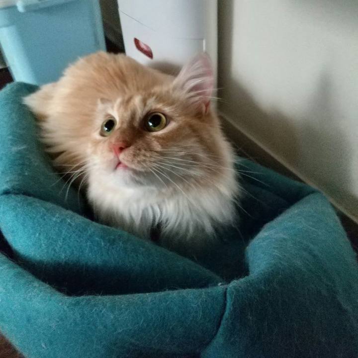 81958c9c a318 4942 9299 57d8fde09cf9 1650639832811