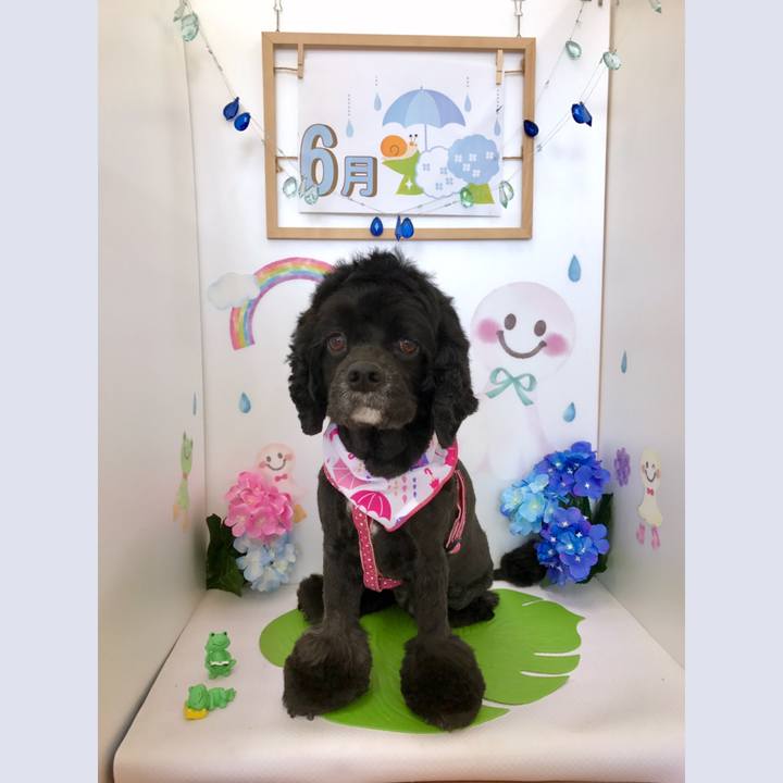 819598b5 6d02 49e0 8149 82393995f840 1559651379893