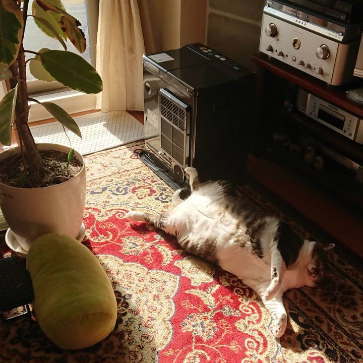 819598c4 b196 423f 862d 1c6019a13353 1553037141663