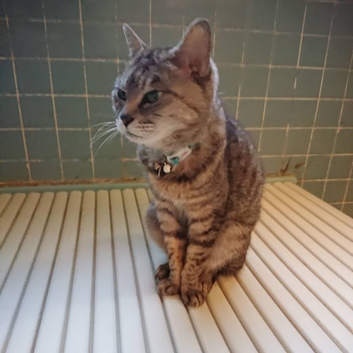 8195b408 62bc 4826 8cd6 708a81b57073 1562493420442