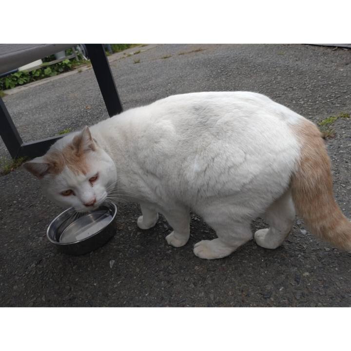 8195e344 c805 418f 8958 11834d9e10c4 1746746715885