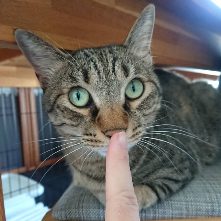 81962702 8902 431c 9811 ba7df0350980 1570923983721