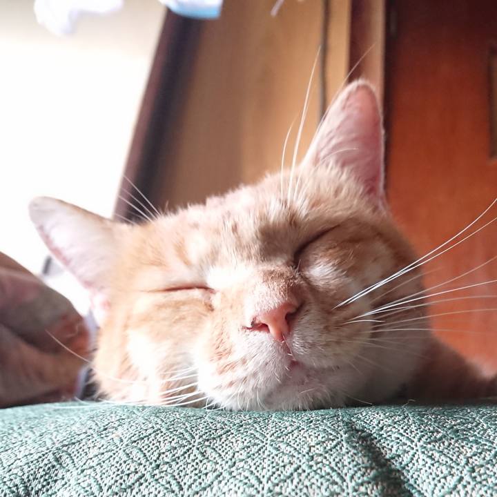 81963491 97b3 415b 9333 e51fac3dbd7d 1566594373706