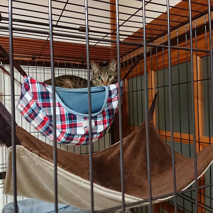 81966f1c 7d1d 40dd b24c 28c67296219c 1562667863587