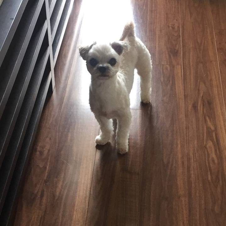 8196717e 83ad 4dbc ac25 259d7a389d2e 1534129820875