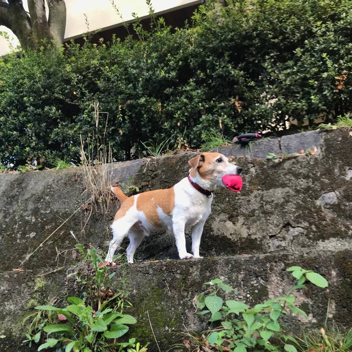 81968954 ceba 48f0 8e0e 375acf0b2e02 1569239775166