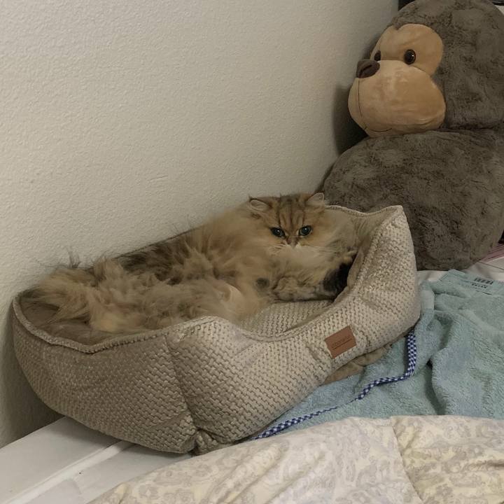 81969df6 bed7 47a9 9409 6878de45b569 1561440638866