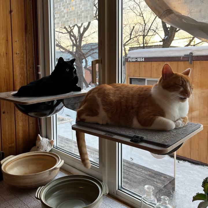 8196a46c 0a68 480d a904 d8b0e2628ce8 1704580180727