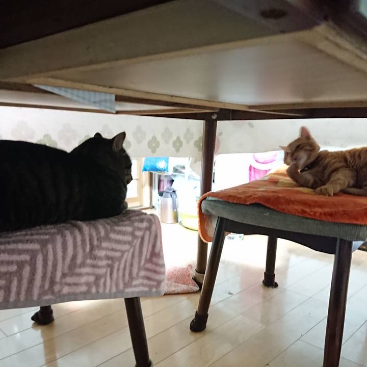 8196df3a e376 4c7c 9fd9 c490c303275e 1638823470576