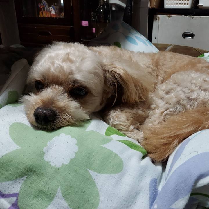 8196e59e b07a 48e8 b34b 139d353ee0c1 1628599898130