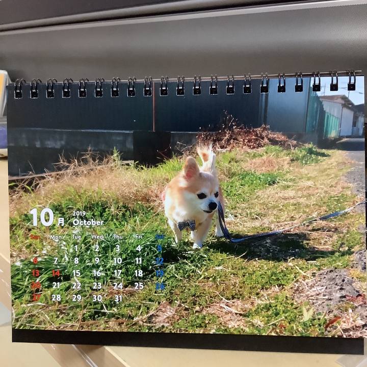 81973e05 f225 41e2 b323 3b66835f0706 1569929626748