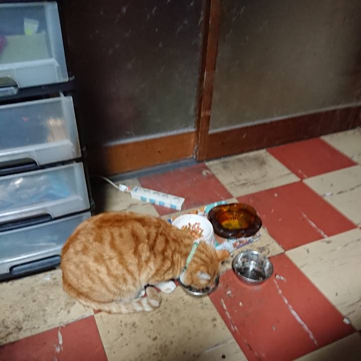 8197ea30 3001 4854 ae39 e27106101870 1583351745923