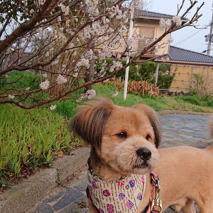 8197f9ab 6f9e 4247 9090 5cca78c2b039 1551396268753