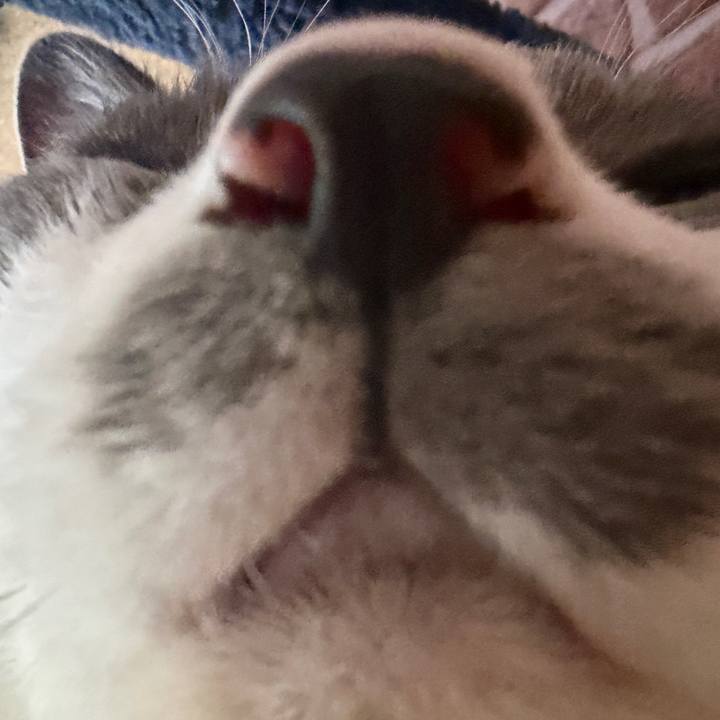 81984242 e6c6 4aab ac17 f9ecdada09c6 1760223730438