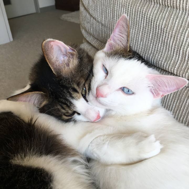 819877c0 5616 4a89 ac5d f34b581b6d7b 1614313645492