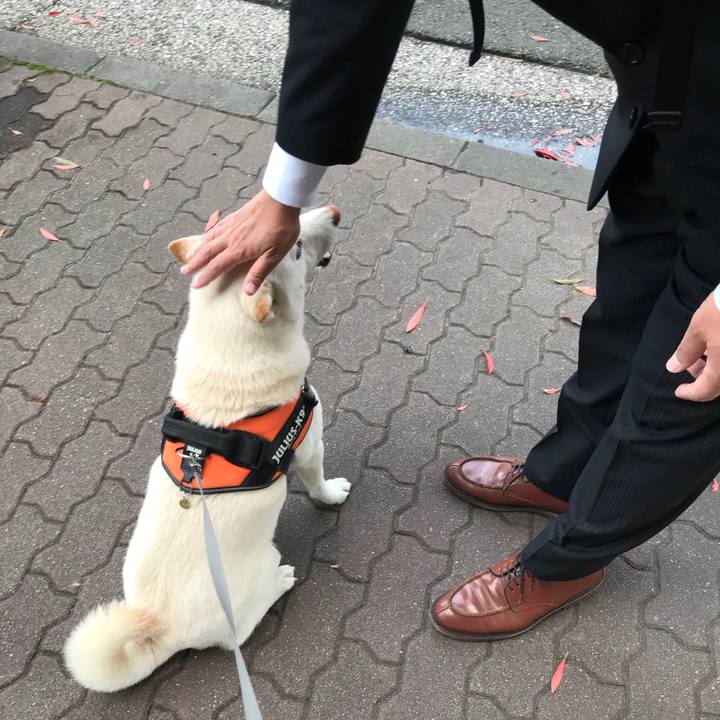 8198d63c 1466 4b0b 8cc5 b47bbb181317 1543448580455