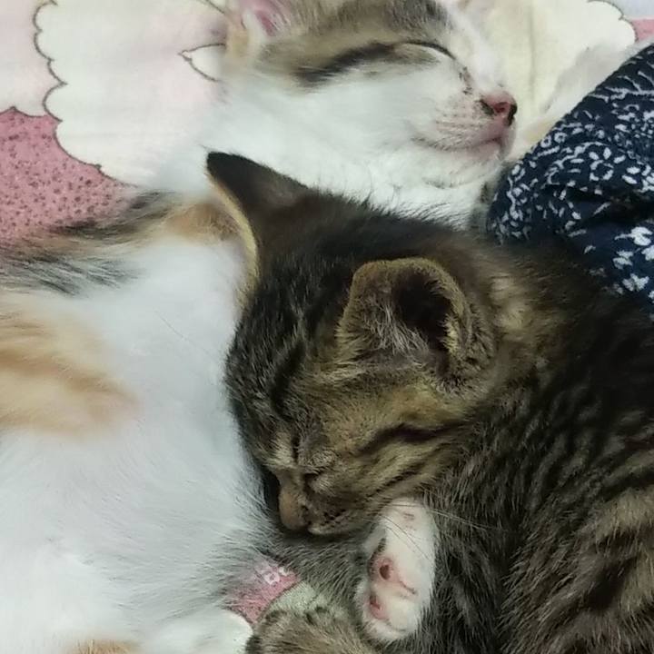 8198d7f7 ece8 4cce 9a44 ce8120c92542 1641869970151