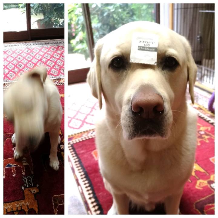 819905c7 66f6 40e7 8bed 373e56b660e3 1589945341786