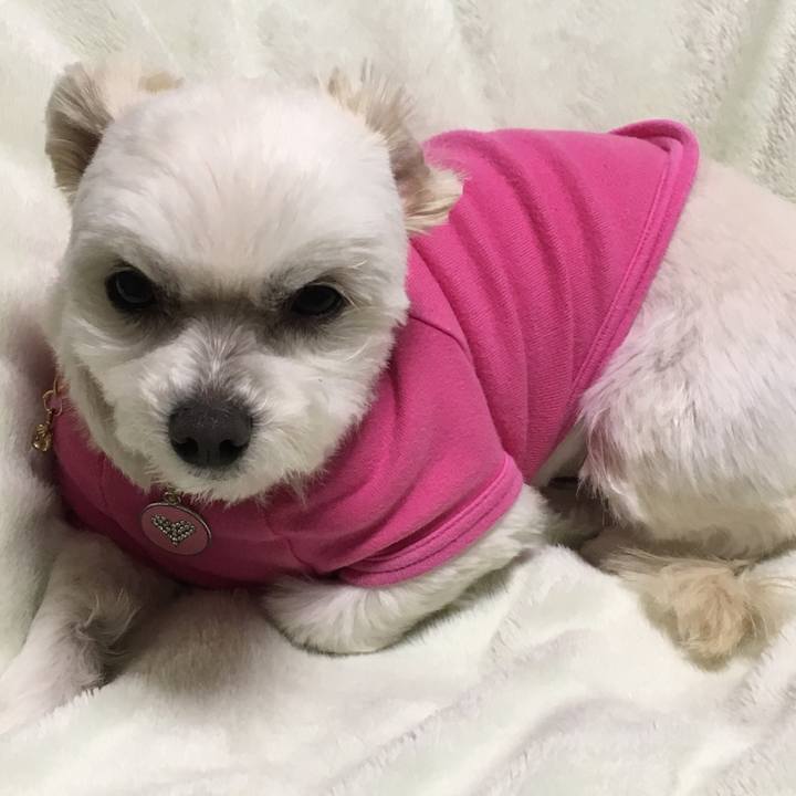 81991828 644c 4f7f abff 9c142bf4e978 1520421317528