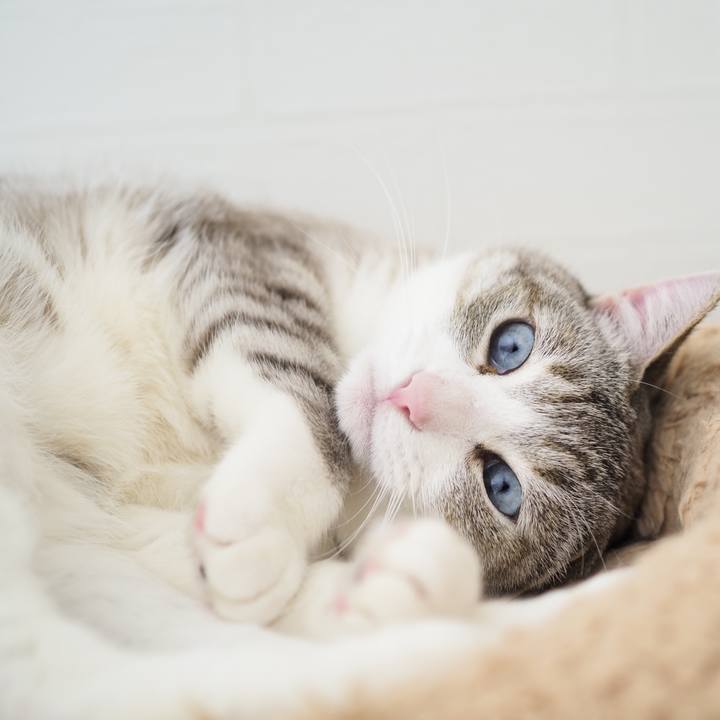 819920cf 728a 450a 9411 03be79c61141 1618654598923