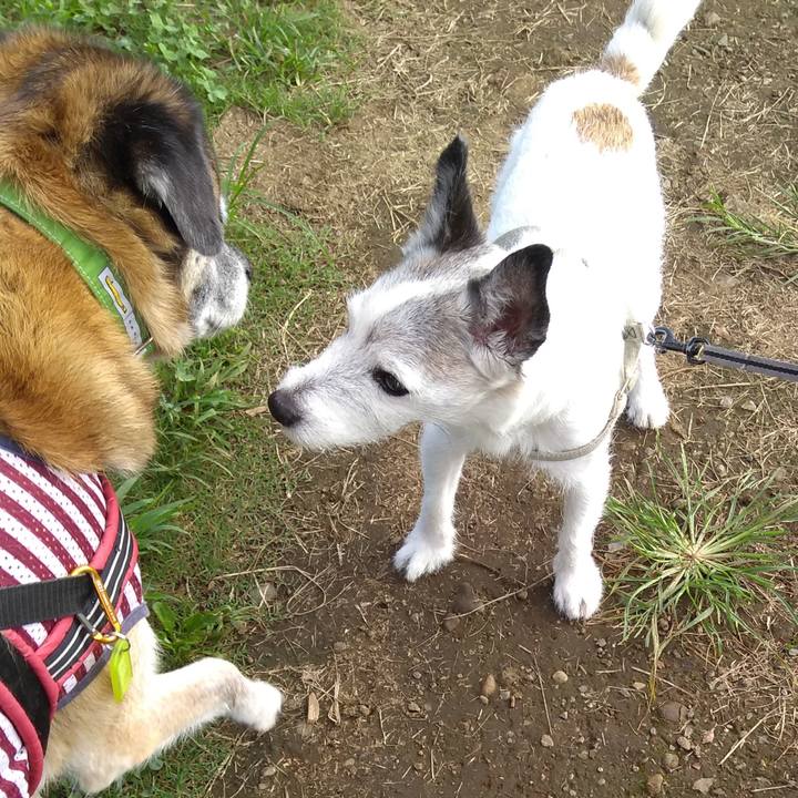 8199236d 8f4a 4fe9 92ad 1a26fdd4a7ab 1567382472993