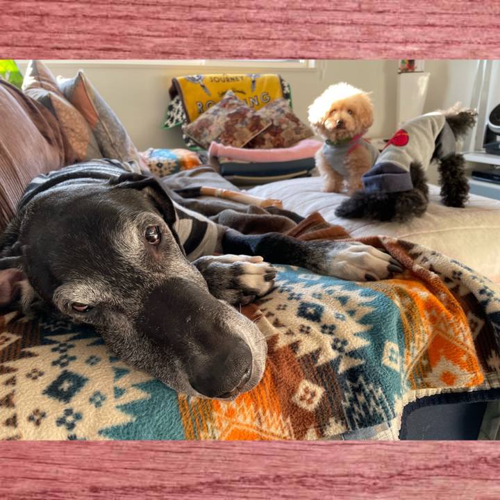 8199258d e1c8 4eaf 9916 a563e26e779a 1639003520467