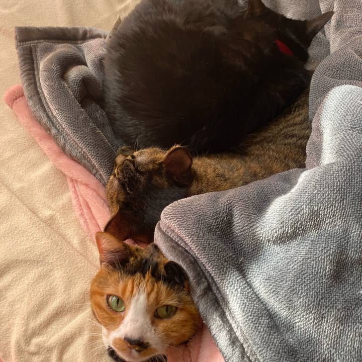 819978ec 58a9 44f1 8e50 3dd8f0872a42 1636178982149