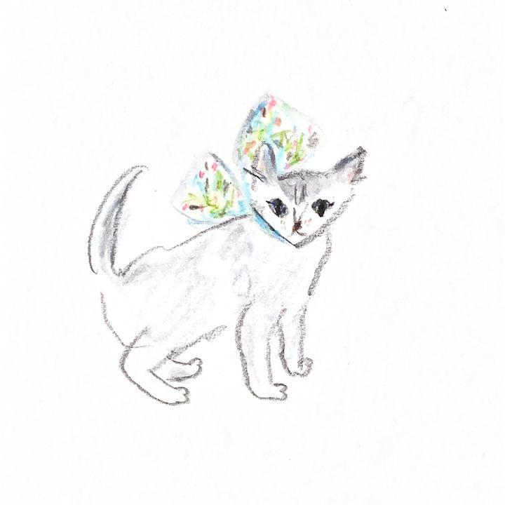 8199c60a 0864 4c52 8cc7 e07e2b776cf1 1666608251434