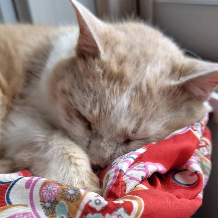 8199d2b5 d5c8 4f99 9cf3 93b0d3529217 1750117079610