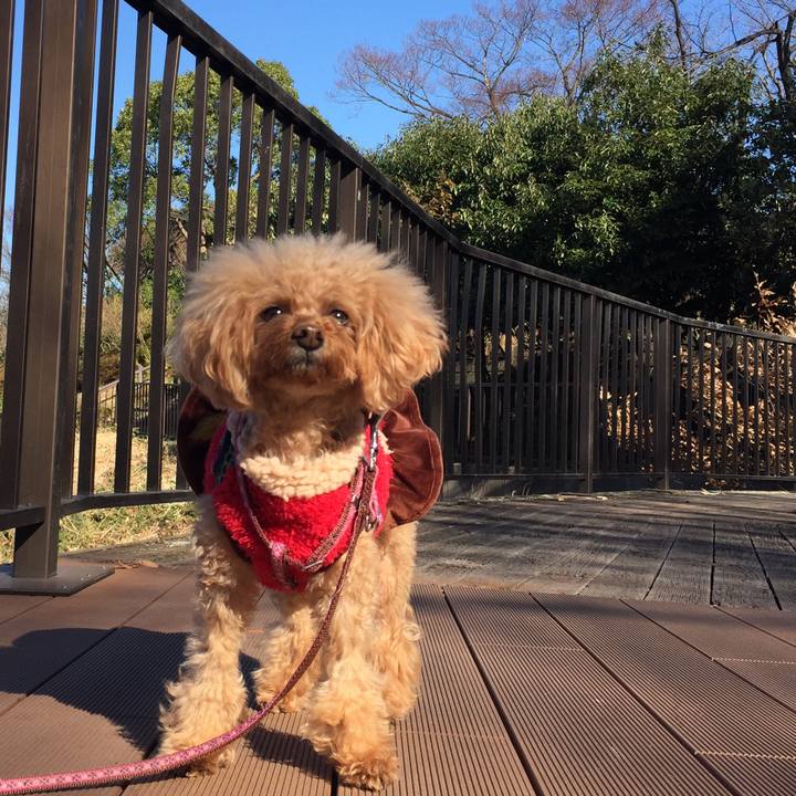 819a12a3 71cc 432b bf59 3d546d4e9f1c 1512970212615