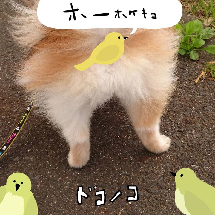 819aa9bd 9c6e 41cb b7fc 5d8776368247 1740783697439