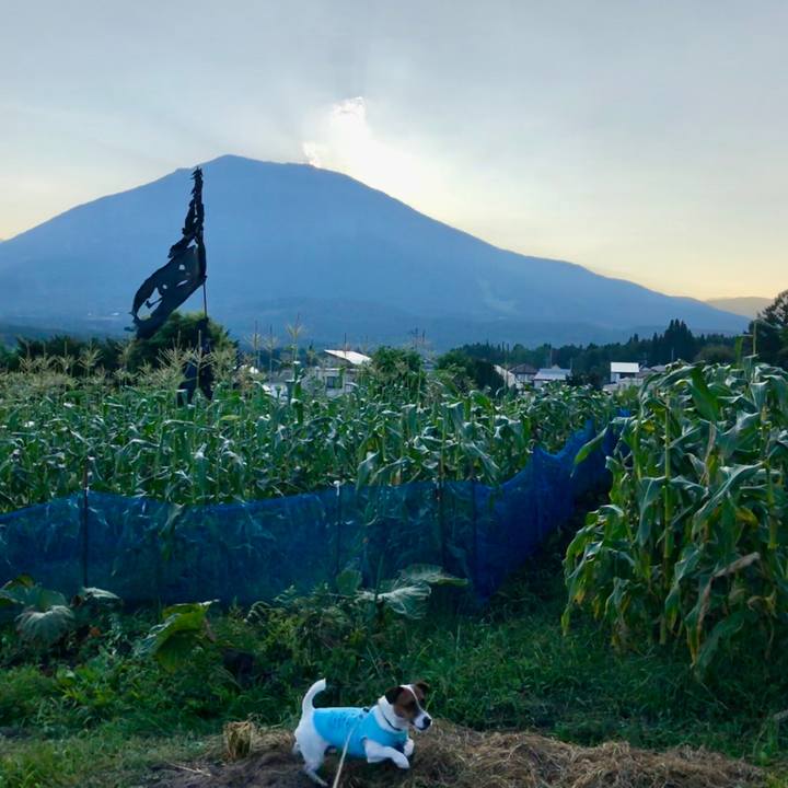 819abfb7 6e4c 4268 811c e3fb82e8b83b 1597842073722