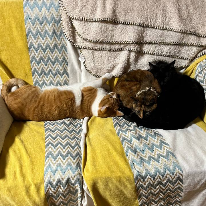 819ac21d ad22 41c4 9834 316da497b463 1702796988103