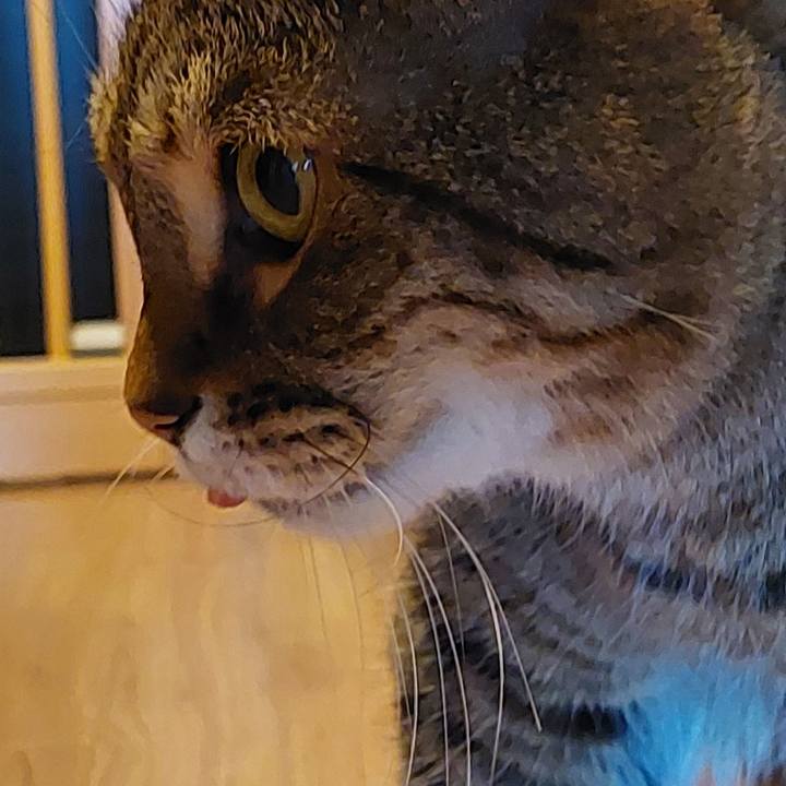 819b1416 d461 4ea8 9159 01307f724cff 1722205053585