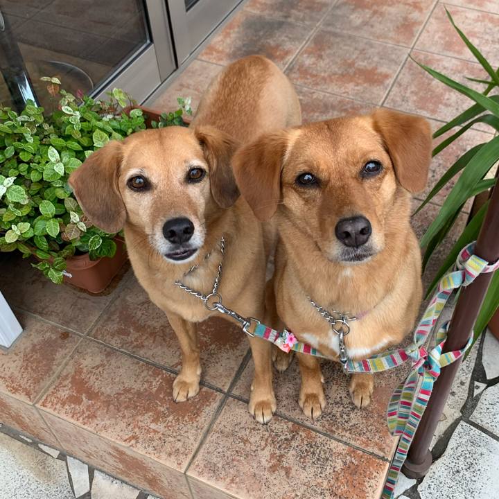 819b17ee f82f 4f83 890d 91638a7ef543 1621236851976