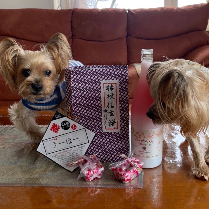 819b8481 11cd 4628 8bf7 a74cff06976b 1646217318877