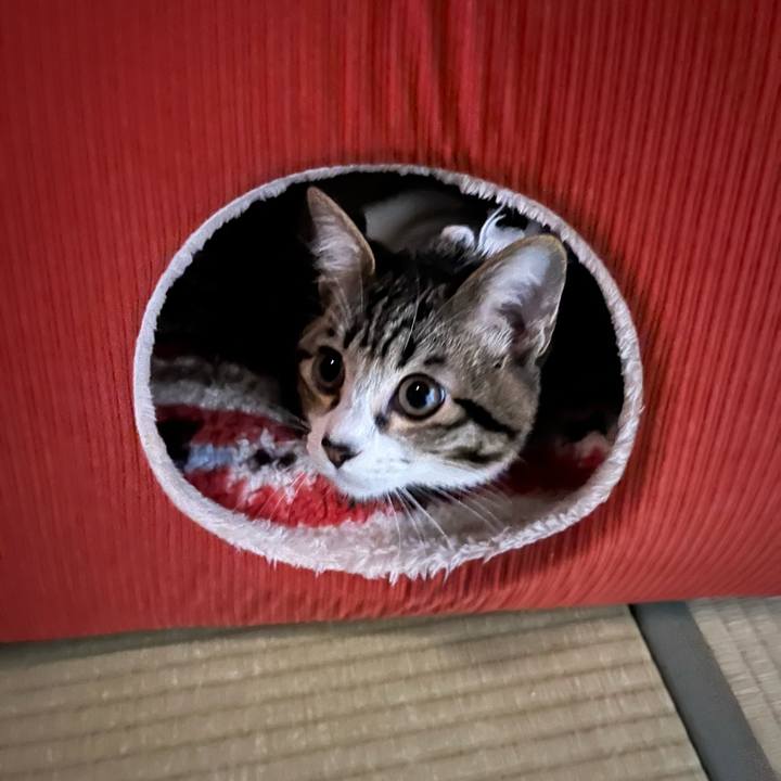 819b87a3 5a87 4e95 9edc da2487da7813 1698370977210