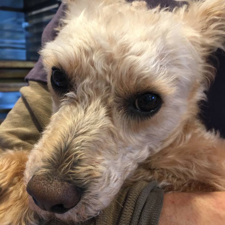 819b8b99 af76 4e3c 9f45 ce492a928bae 1529225256093