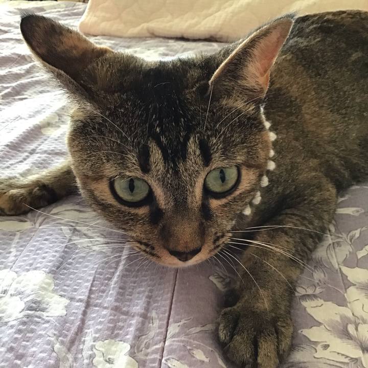 819ba341 a074 4a65 af99 78ab12ad1979 1597016665176