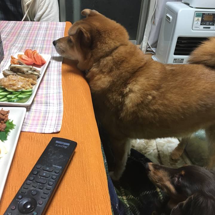 819baa1e 63bf 412f 8102 c368eaa22fe1 1514715998361