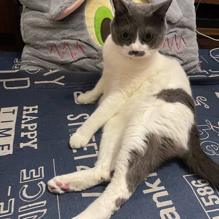 819bc6dd 7124 4ade 8245 cf030e5f94a3 1749303646725