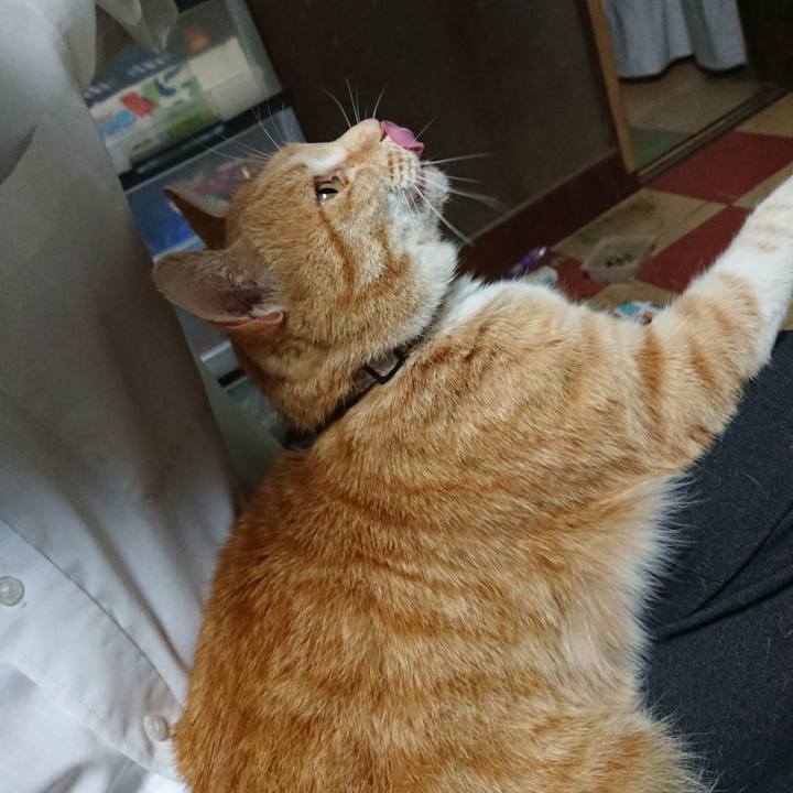 819bcf61 485e 4096 87ab 7ee85a83c8ed 1589189539532