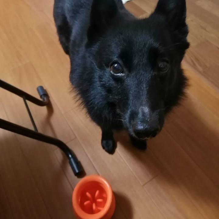 819bef2b 6bf9 4c0b 80cc 46f39062ea97 1666734914205