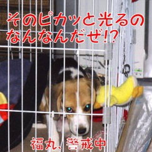 819c1e5e 3de5 40fe be2c 2daa2f225dc7 1678756696366