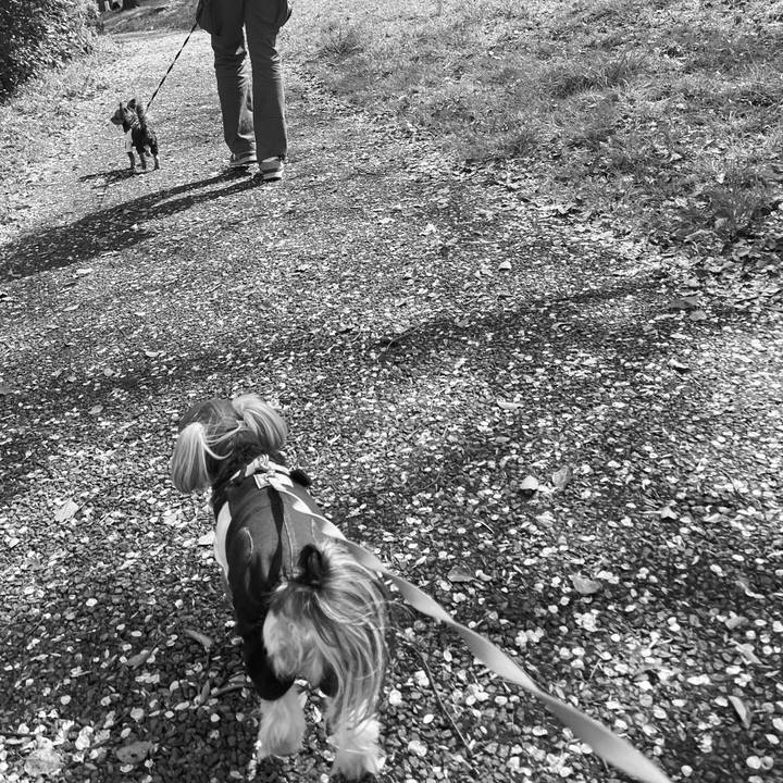 819c330e 57fb 4d21 8eee 687025fc4944 1763866278721