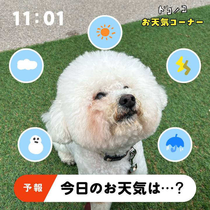 819c5e6c a78c 4f2f a6c9 fbda2b9477da 1781516035591