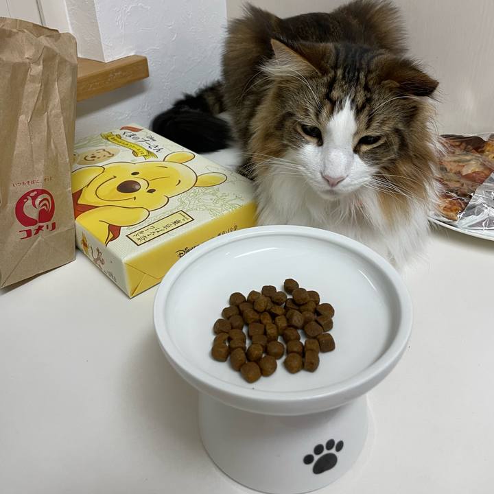 819c622d 1176 4b66 a8aa fbeea8391bed 1667209499443